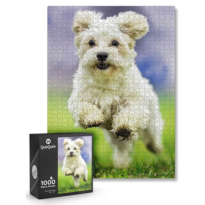 1000-Piece: Puzzle for Adults/Teens with Puzzle Saver Kit DailySale