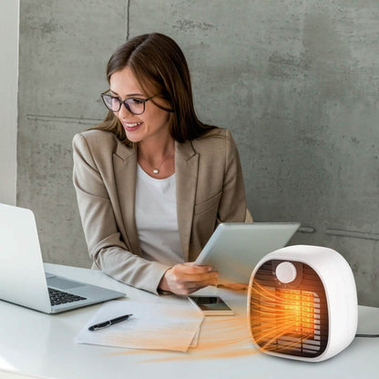 1000W Portable Electric Heater DailySale