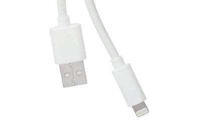 10ft Apple-Certified Lightning Cable DailySale