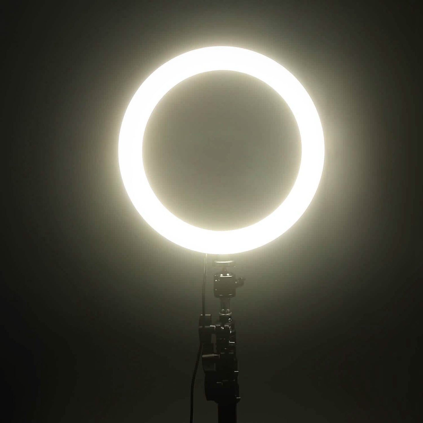 10in 120 LEDs Selfie Ring Light DailySale