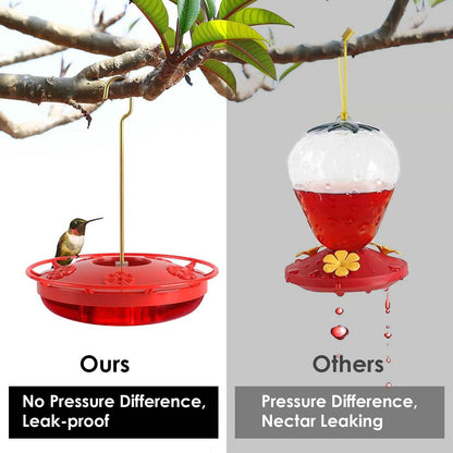 12 Oz Hummingbird Feeder DailySale