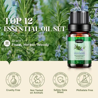 12-Pack: Aromatherapy Essential Oil Kit for Diffuser DailySale