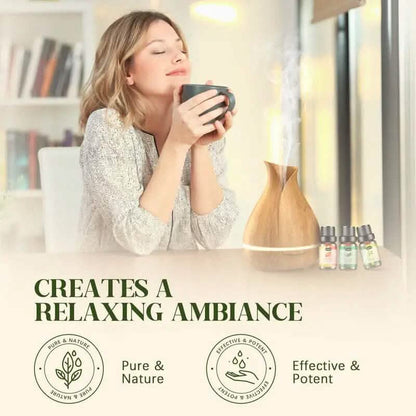 12-Pack: Aromatherapy Essential Oil Kit for Diffuser DailySale