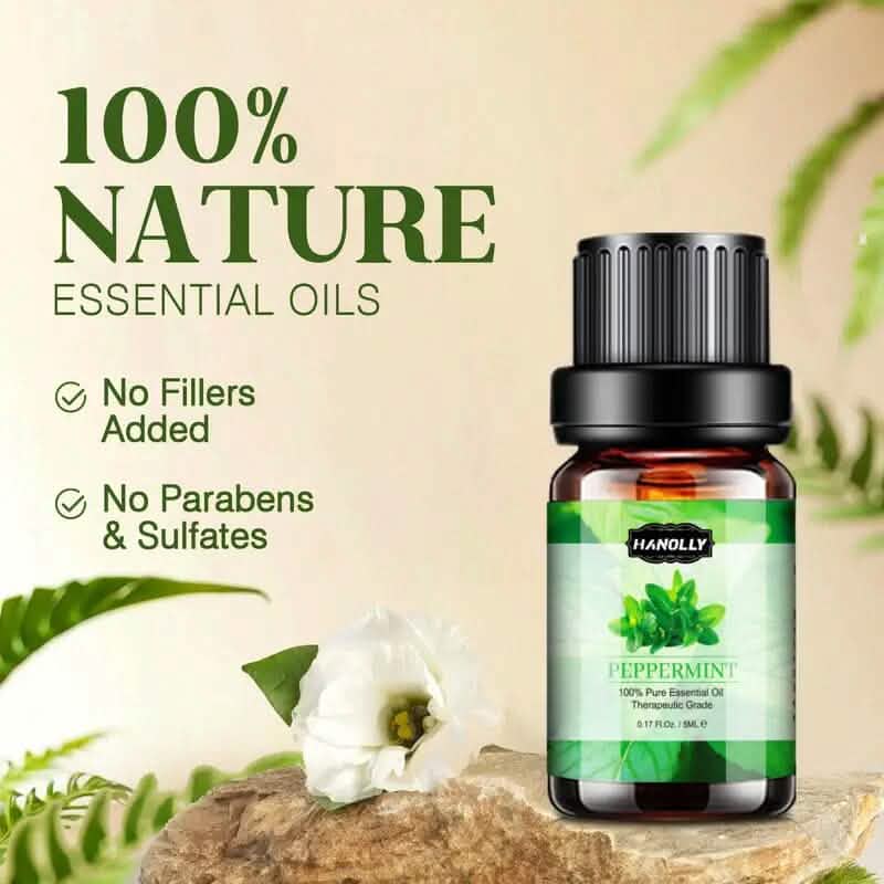 12-Pack: Aromatherapy Essential Oil Kit for Diffuser DailySale