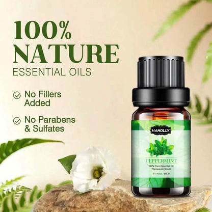 12-Pack: Aromatherapy Essential Oil Kit for Diffuser DailySale