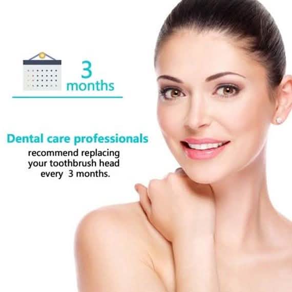 12-Pack: Clean Replacement Electric Toothbrush Heads DailySale