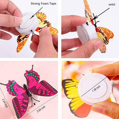 12-Pack: LED Butterfly Decoration Night Light DailySale