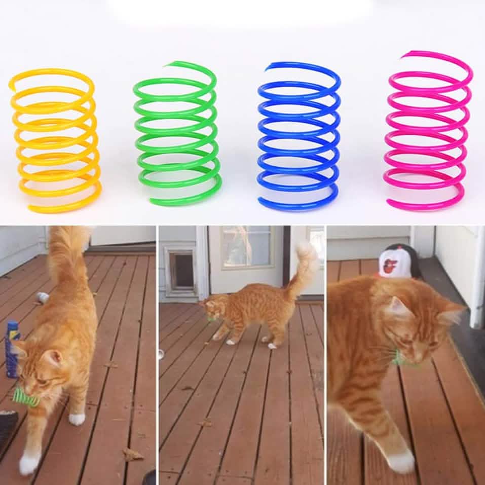 12-Piece: Cat Coil Spring Toy DailySale