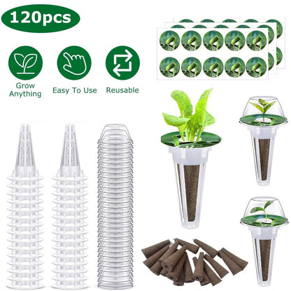 120-Piece: Seed Pod Kit DailySale