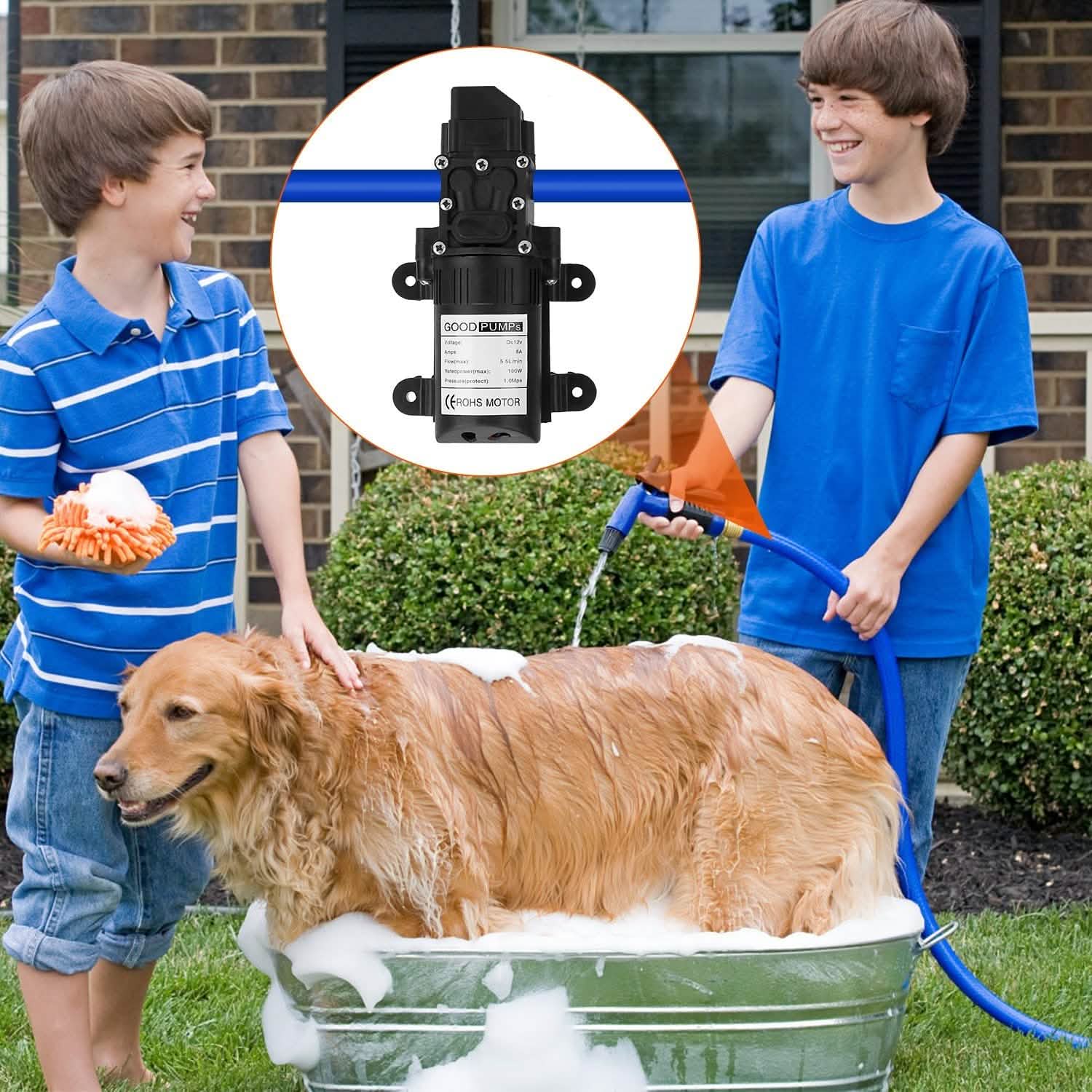 12V Water Pump with 2 Hose Clamps 123PSI Self Priming Sprayer Pump DailySale