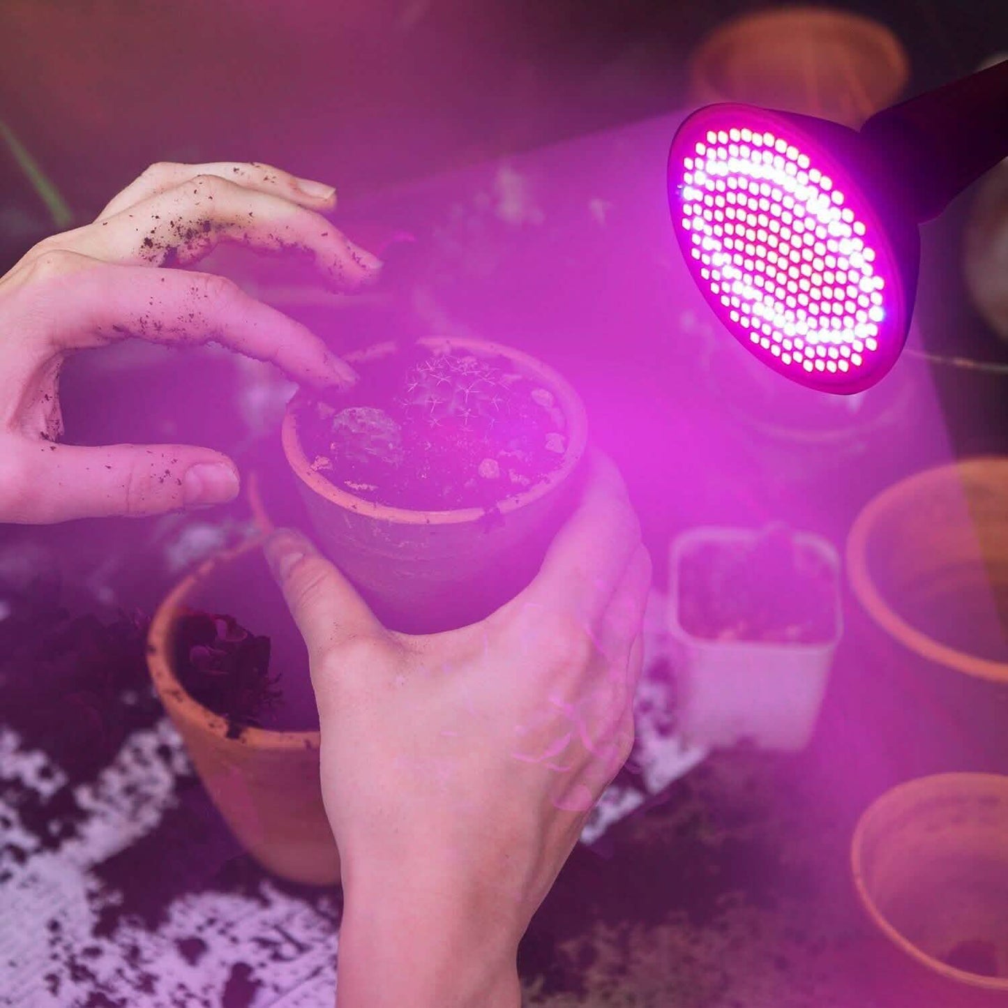 12W LED 360° Rotatable Plant Grow Light with Desk Clip DailySale