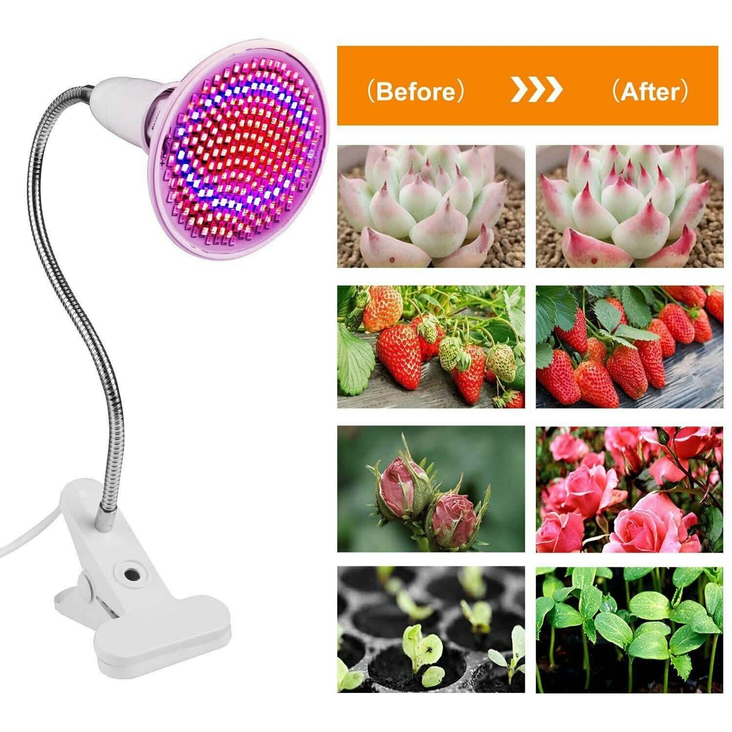 12W LED 360° Rotatable Plant Grow Light with Desk Clip DailySale