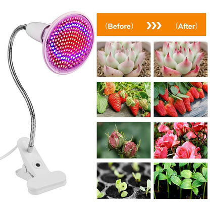 12W LED 360° Rotatable Plant Grow Light with Desk Clip DailySale