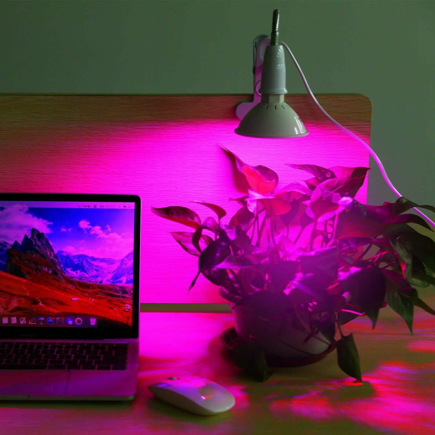 12W LED 360° Rotatable Plant Grow Light with Desk Clip DailySale