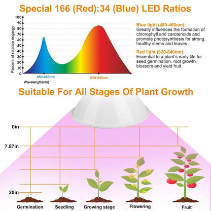 12W LED 360° Rotatable Plant Grow Light with Desk Clip DailySale