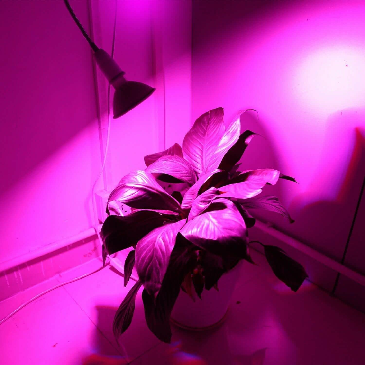 12W LED 360° Rotatable Plant Grow Light with Desk Clip DailySale