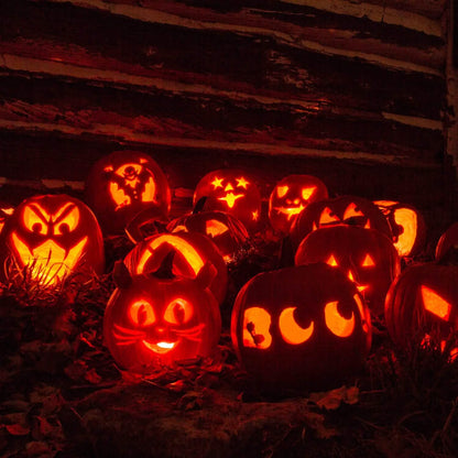 13-Pieces: Halloween Pumpkin Stainless Steel Carving Kit DailySale