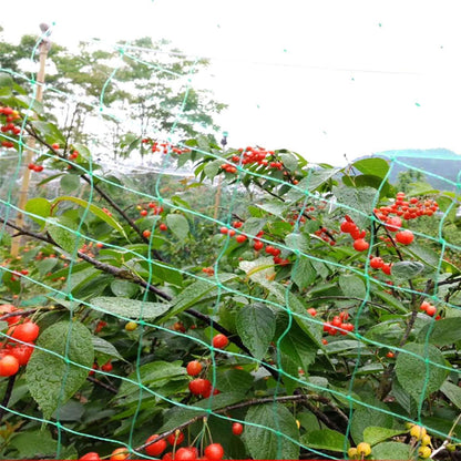 13 x 33 Ft. Garden Net DailySale
