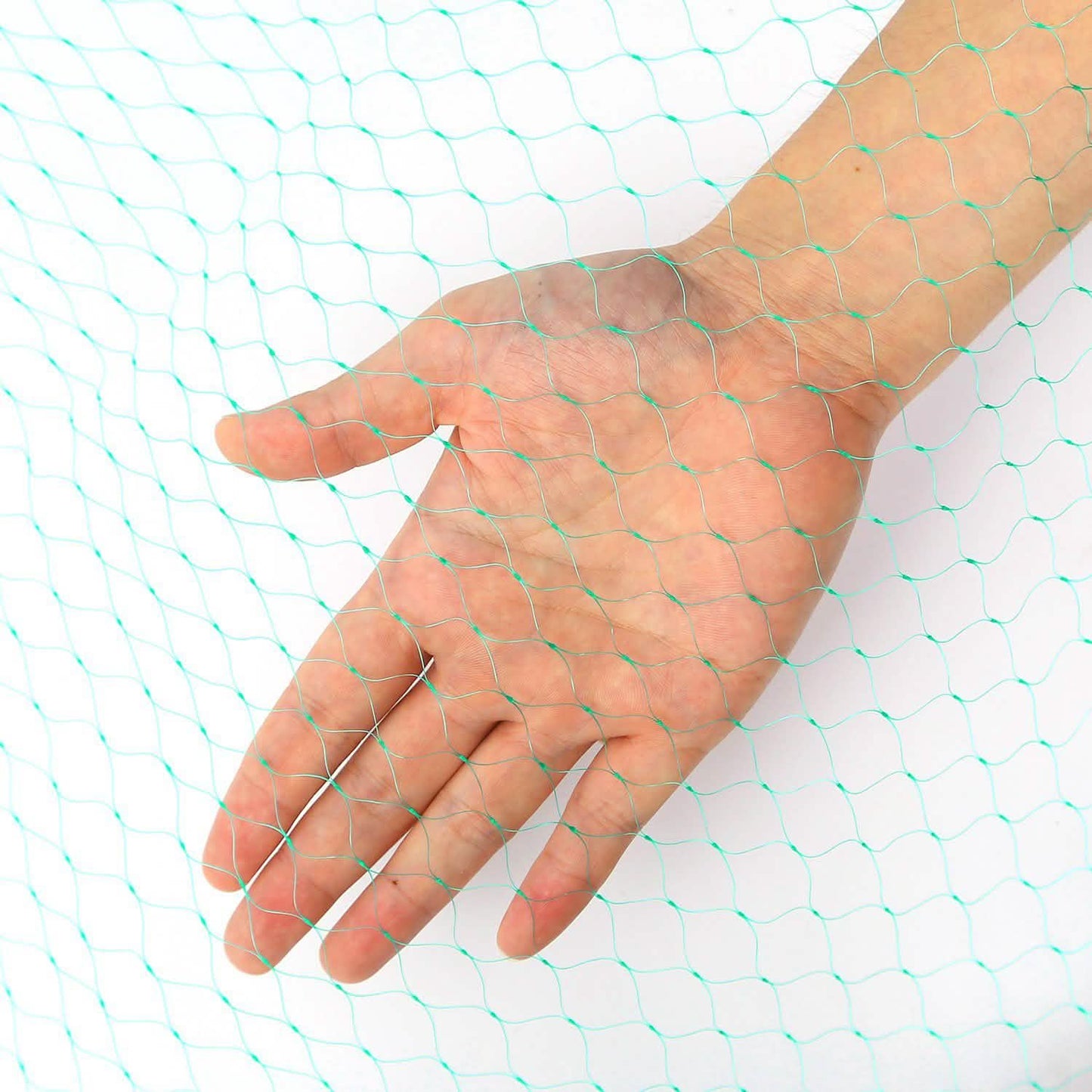 13 x 33 Ft. Garden Net DailySale