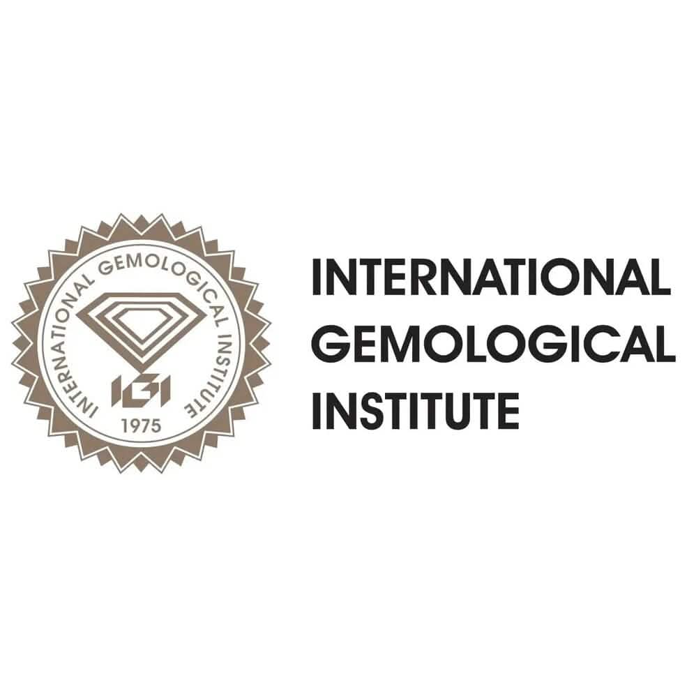 14K Solid White Gold 10.00ct Lab-Grown Round IGI Certified Diamond Stud Earrings DailySale