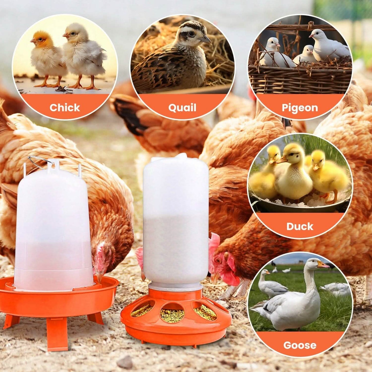 1.5L Chicken Feeder Adjustable Height Waterer Set DailySale