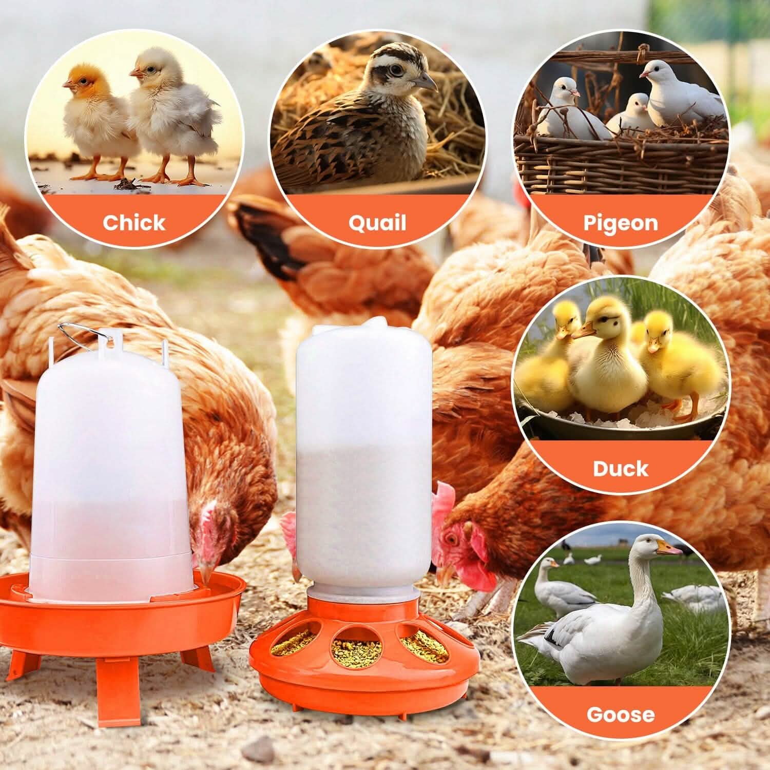 1.5L Chicken Feeder Adjustable Height Waterer Set DailySale