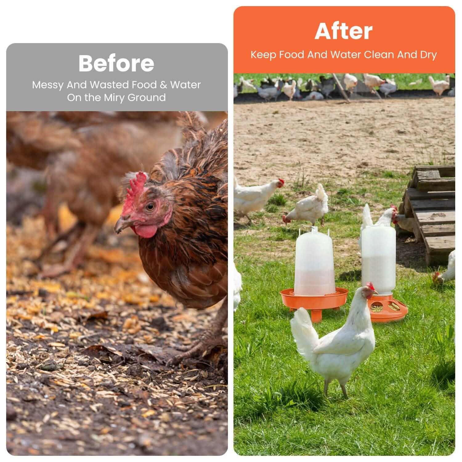1.5L Chicken Feeder Adjustable Height Waterer Set DailySale