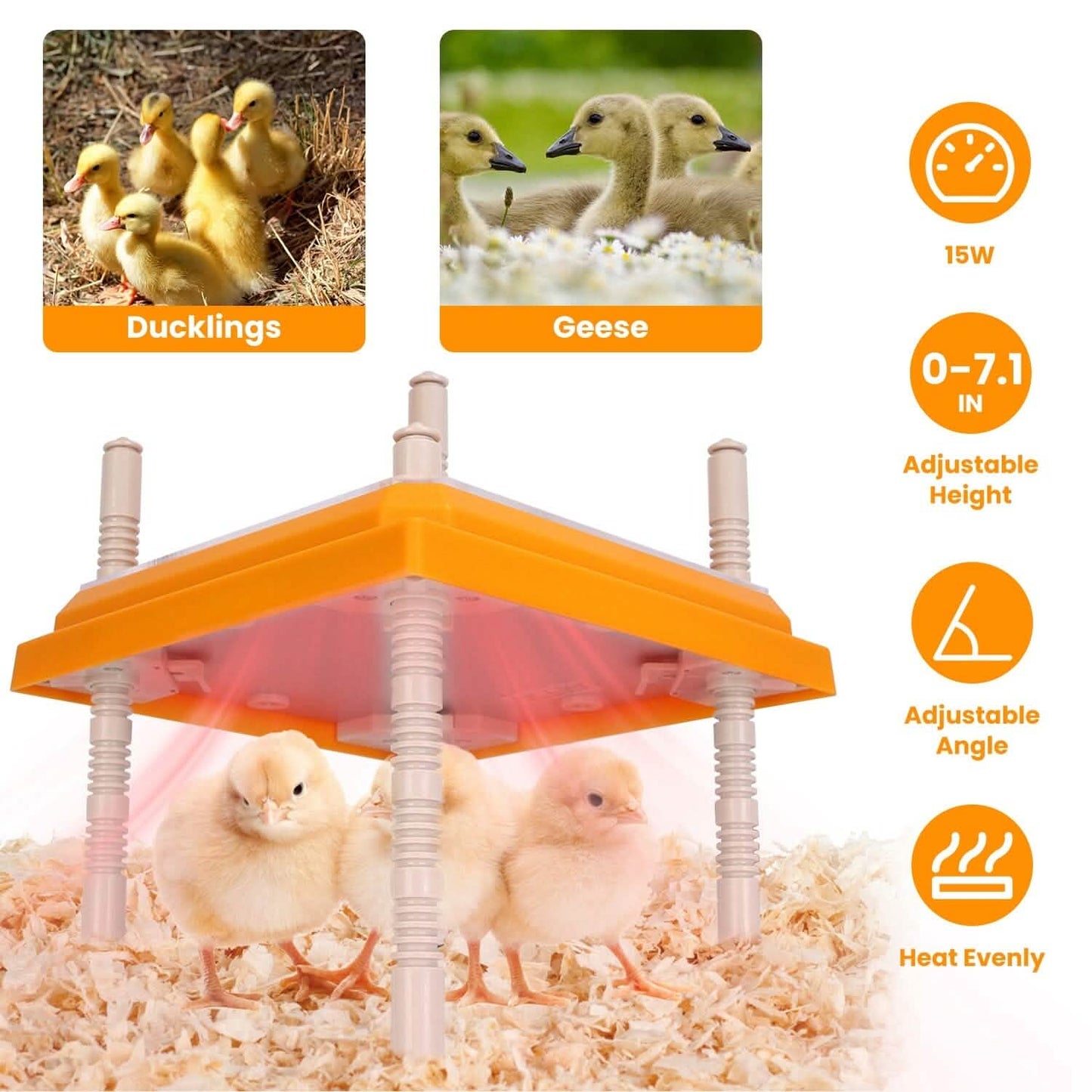 15W Chicken Brooder Heater with Adjustable  Height Angle Max 131℉ DailySale