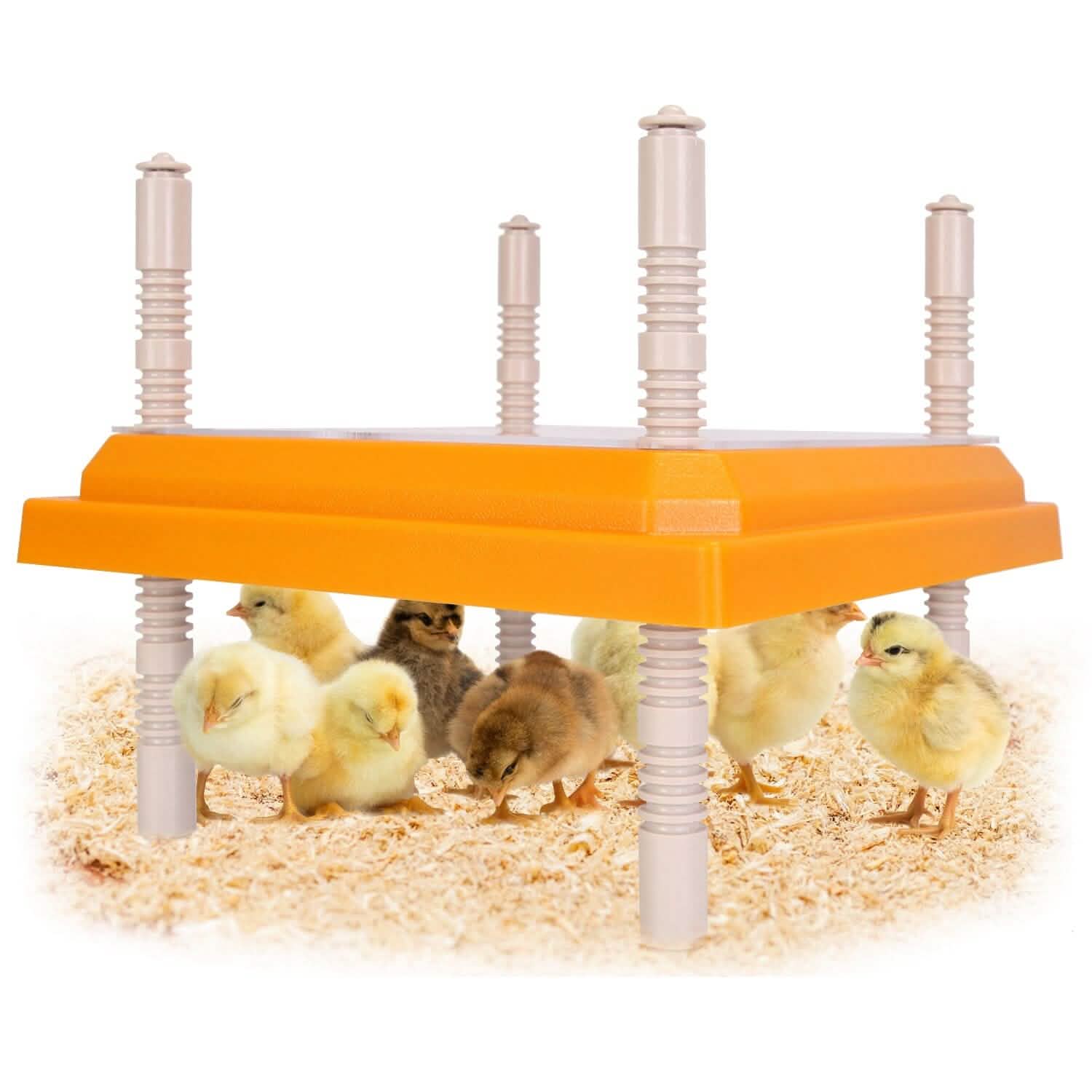 15W Chicken Brooder Heater with Adjustable  Height Angle Max 131℉ DailySale