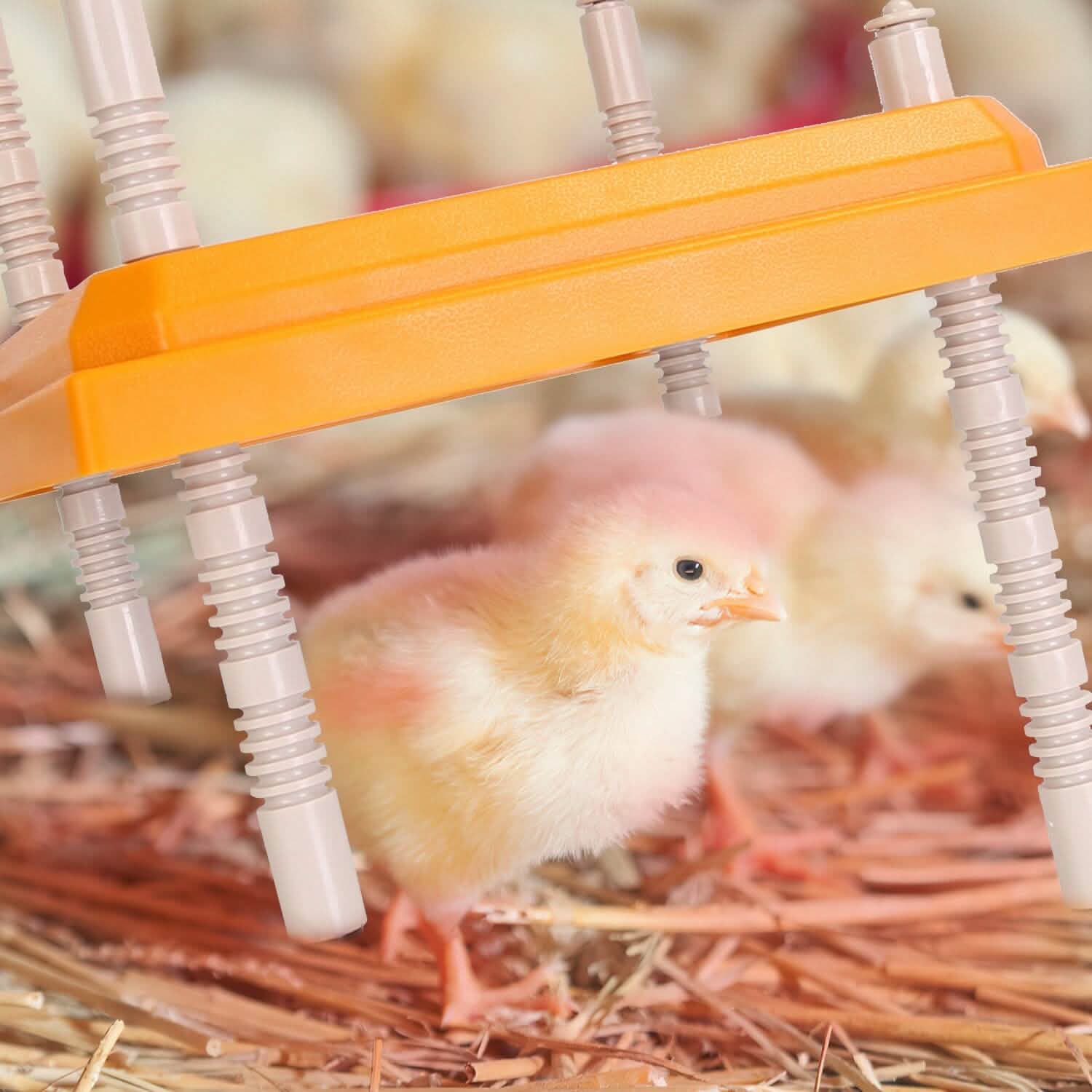 15W Chicken Brooder Heater with Adjustable  Height Angle Max 131℉ DailySale