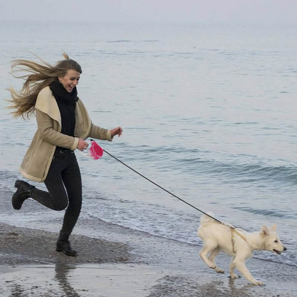 16 Feet Retractable Pet Leash DailySale
