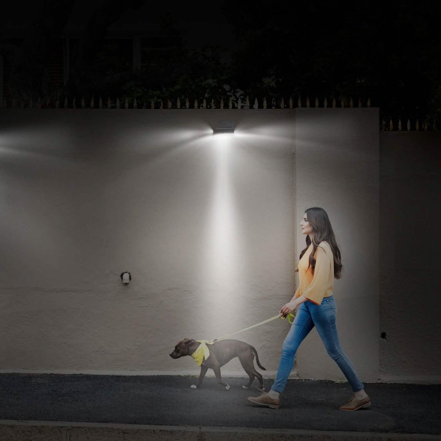 16 LEDs Outdoor Solar Wall Lights DailySale