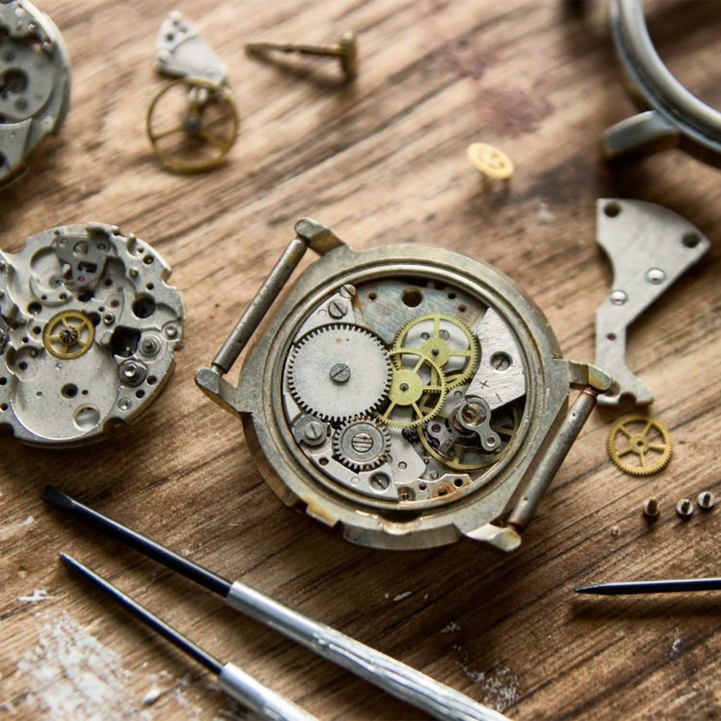 16-Pieces Set: Watch Repair Tool Kit DailySale