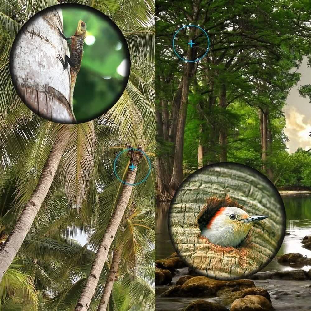 16x52 Monocular Dual Focus Optics Zoom Telescope DailySale
