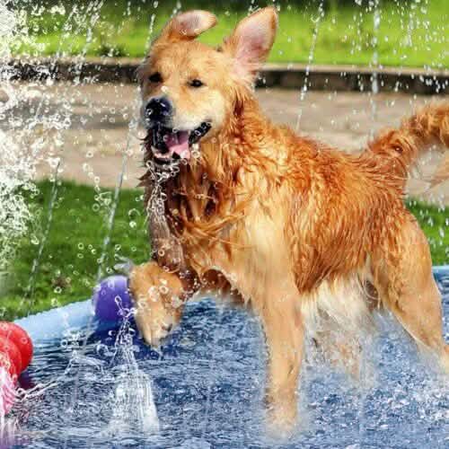170CM Splash Play Mat Inflatable Water Toy Sprinkler Pad Kid Toddler Dog DailySale