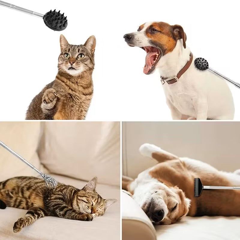 Retractable Cactus Back Scratcher – Long Handle, Durable PVC DailySale