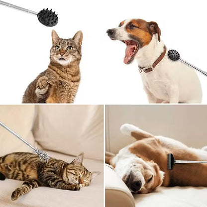 Retractable Cactus Back Scratcher – Long Handle, Durable PVC DailySale