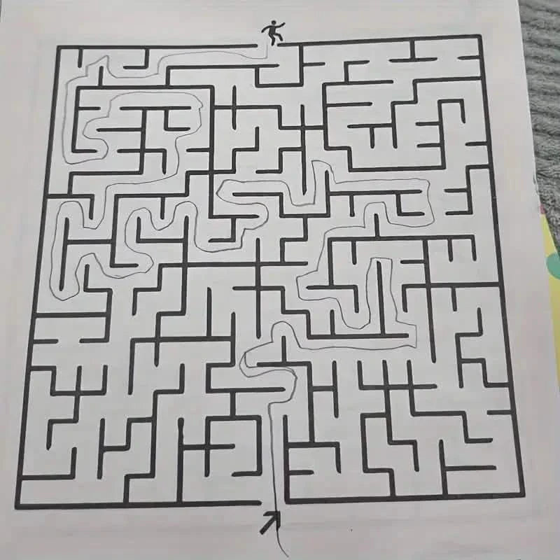 192 Patterns Concentration Maze Training Book DailySale