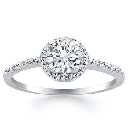 14k White Gold Diamond Halo Collar Engagement Ring Bids.com