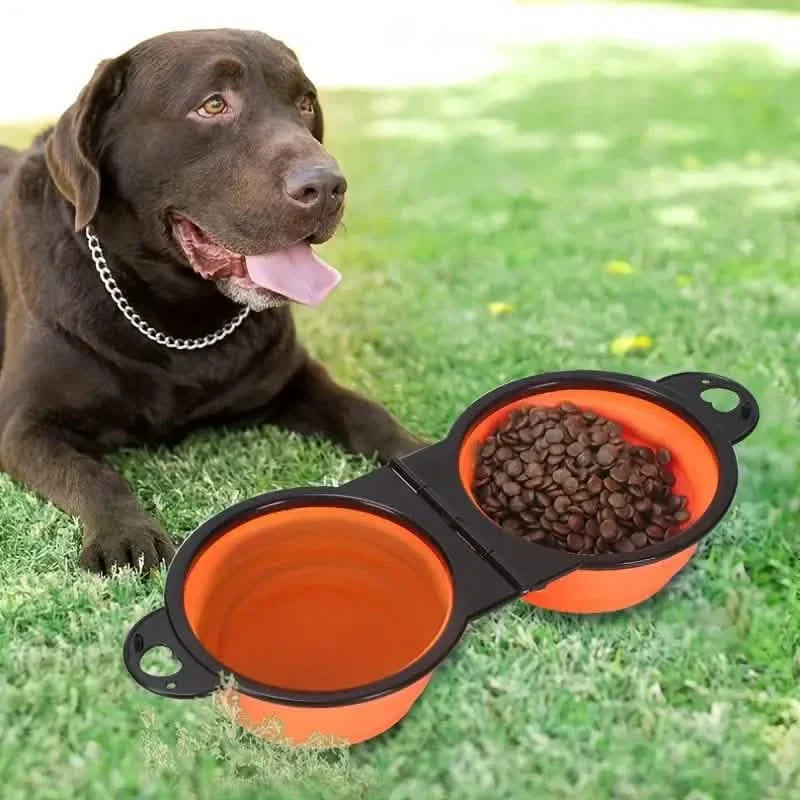 2-in-1 Collapsible Double Dog Bowl DailySale