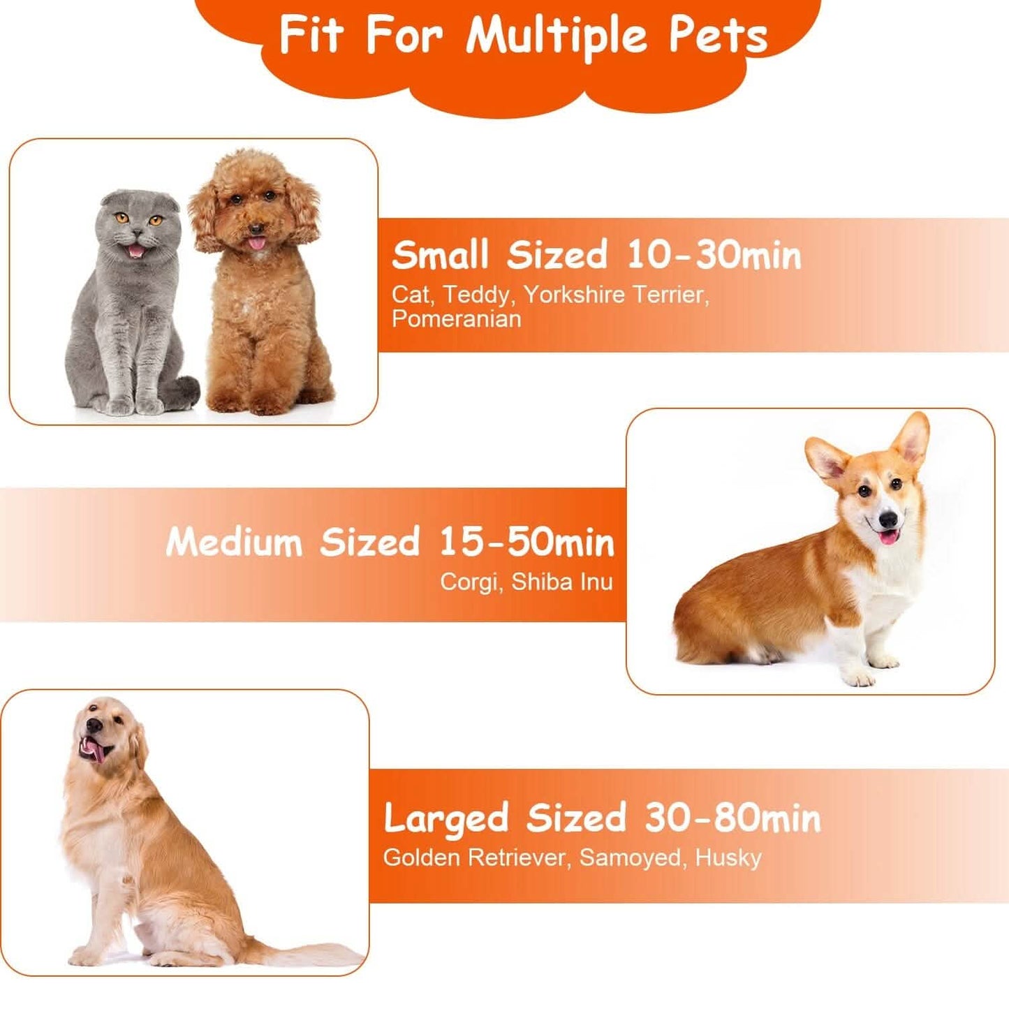 2-in-1 Multifunctional Pet Grooming Hair Dryer DailySale