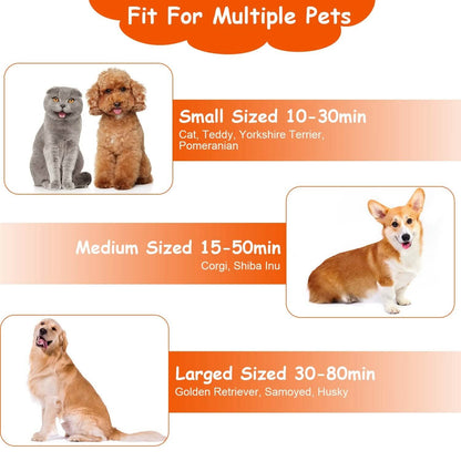 2-in-1 Multifunctional Pet Grooming Hair Dryer DailySale