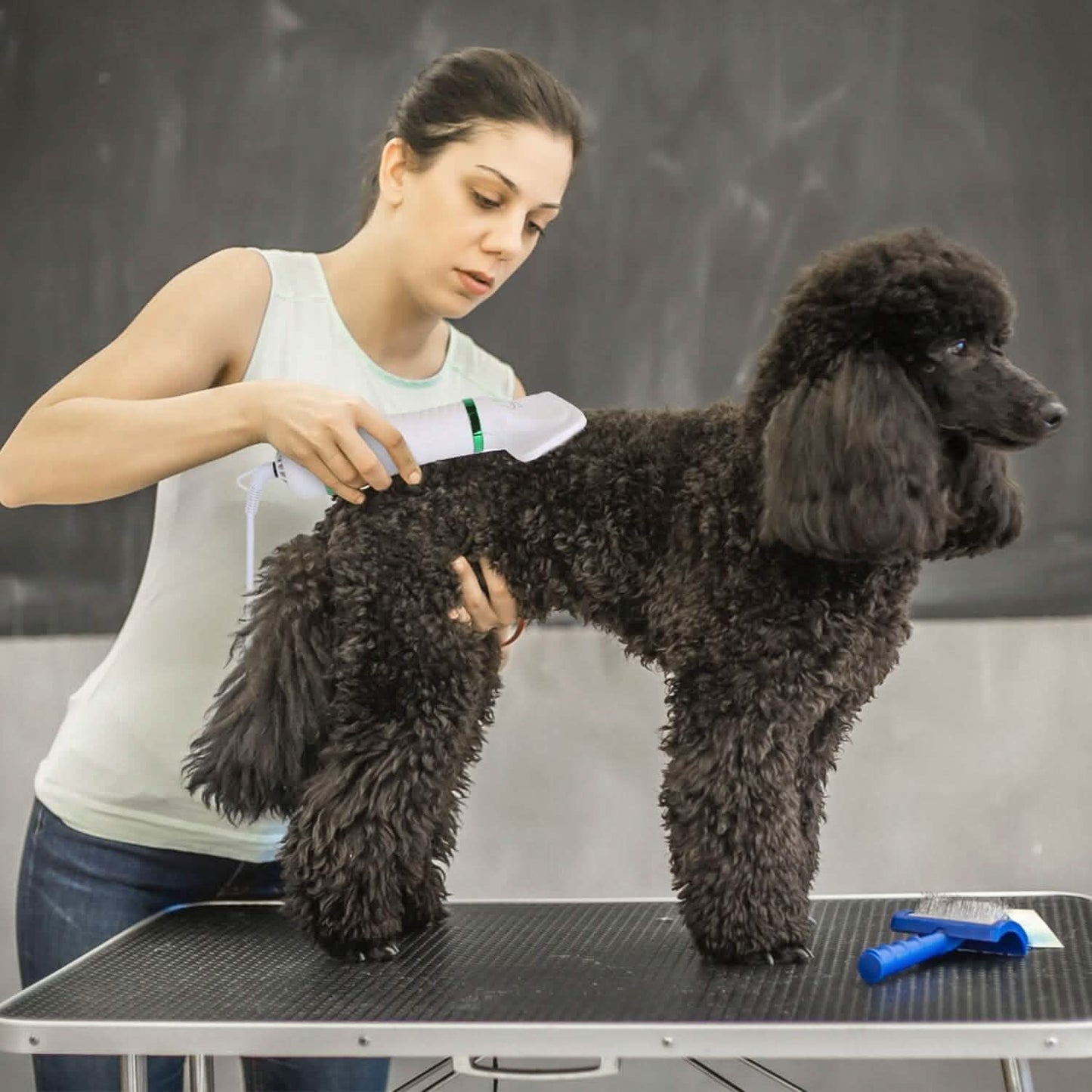 2-in-1 Multifunctional Pet Grooming Hair Dryer DailySale