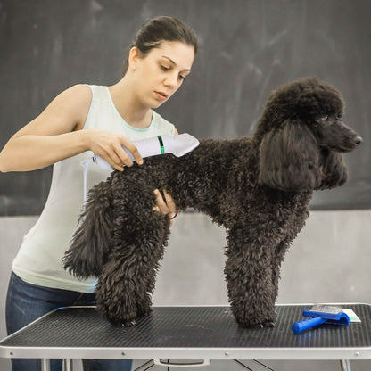 2-in-1 Multifunctional Pet Grooming Hair Dryer DailySale