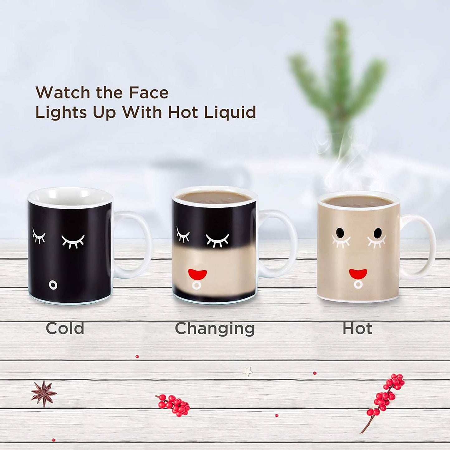 2-Pack: 12 Oz. Color Changing Magic Mug DailySale