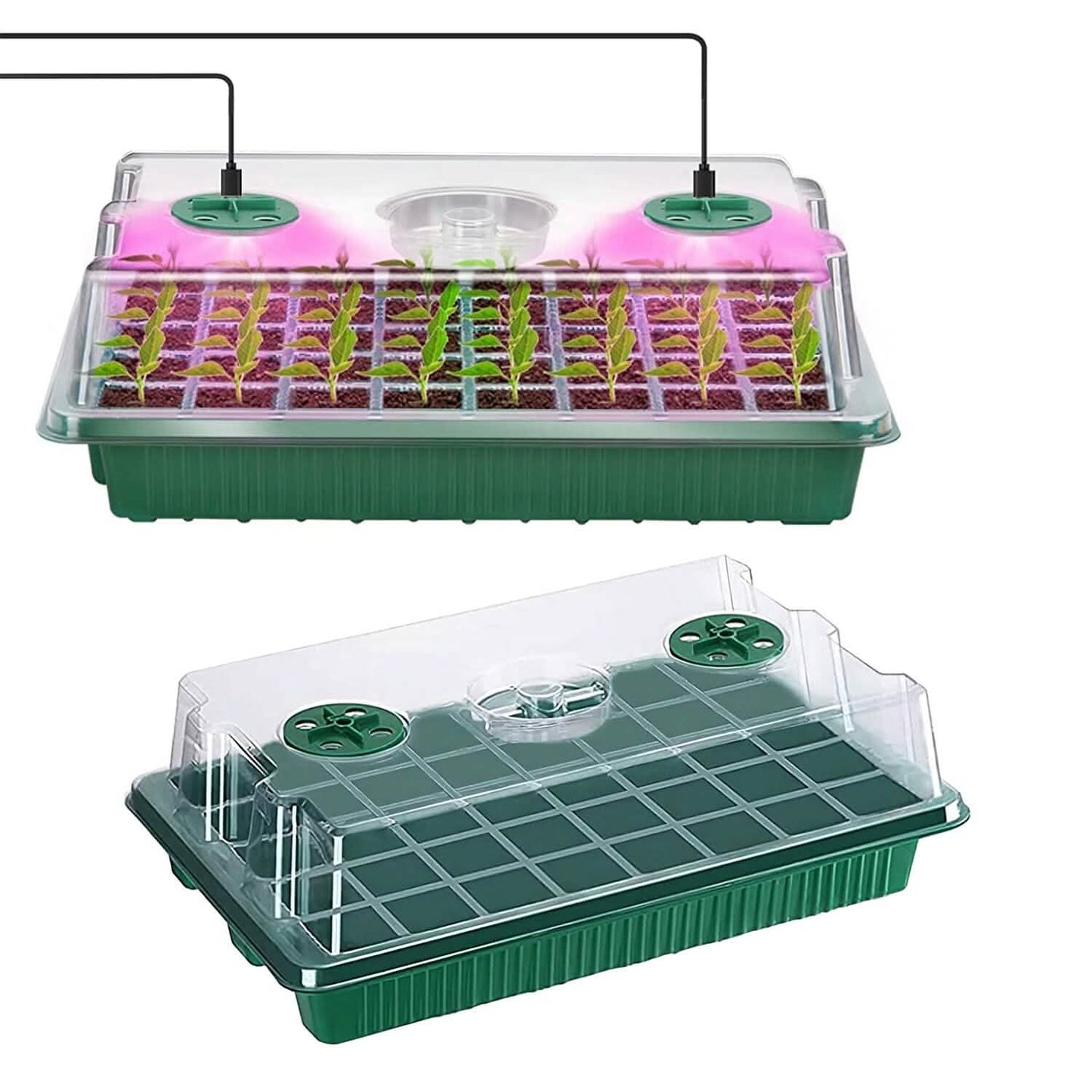 2-Pack: 40 Cell Seed Starting Tray Plant Grow Light with 4 Adjustable Brightness DailySale
