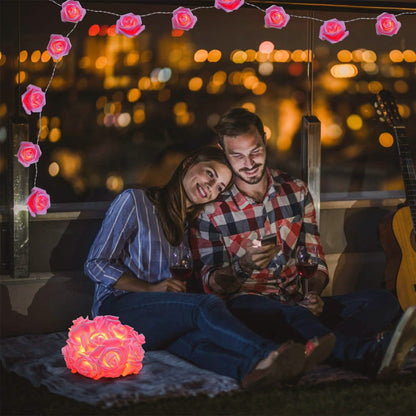 2-Pack: 40 LEDs Rose Flower String Lights DailySale