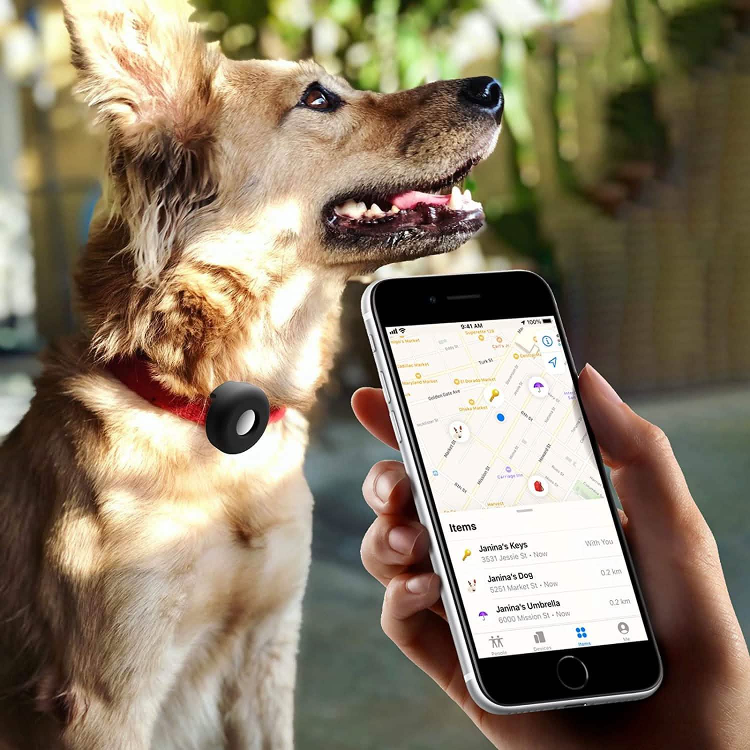 2-Pack: Air Tag Dog Collar Holder DailySale