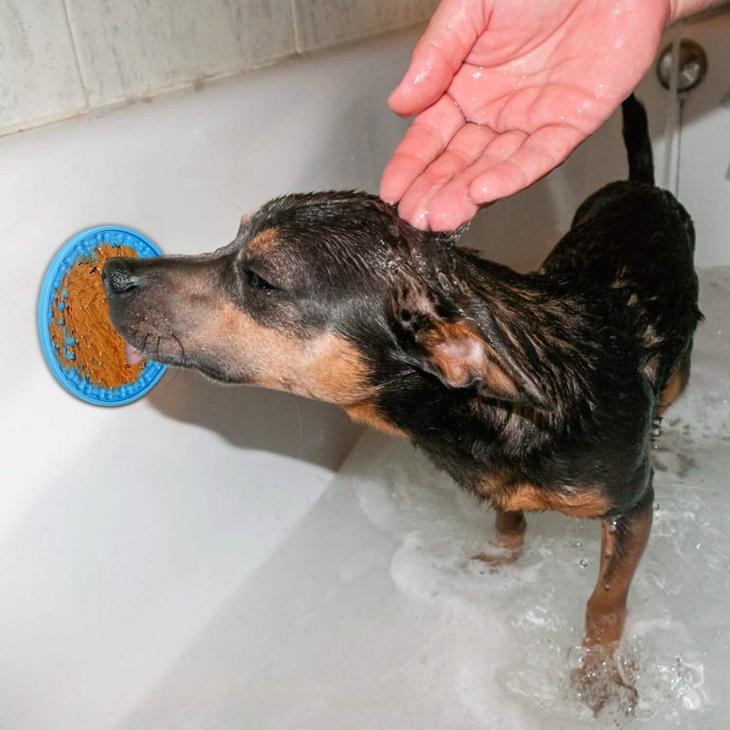 2-Pack: Dog Lick Pad Pet Shower Grooming Slow Feeder Distraction Mat DailySale