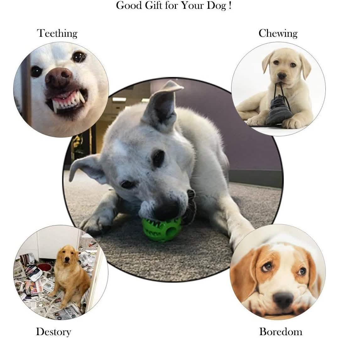 2-Pack: Dog Teething Toy Balls DailySale